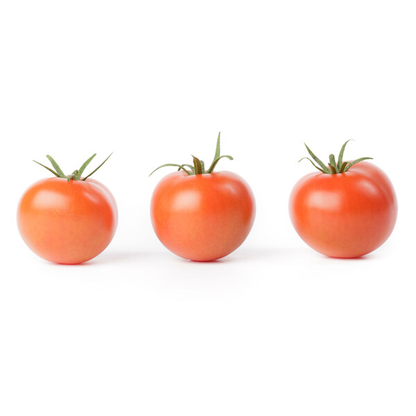 Tomato Dometica RZ F1 (72-225) Untreated Gspp Seeds