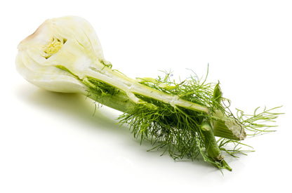 Fennel Sweet Florence Seeds – Bulb Fennel Variety