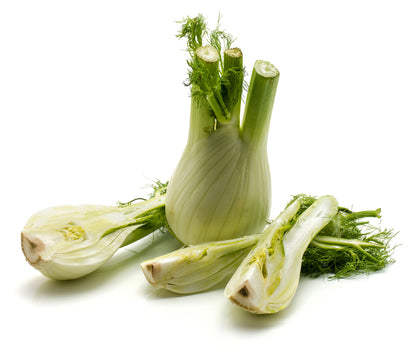 Fennel Sweet Florence Seeds – Bulb Fennel Variety