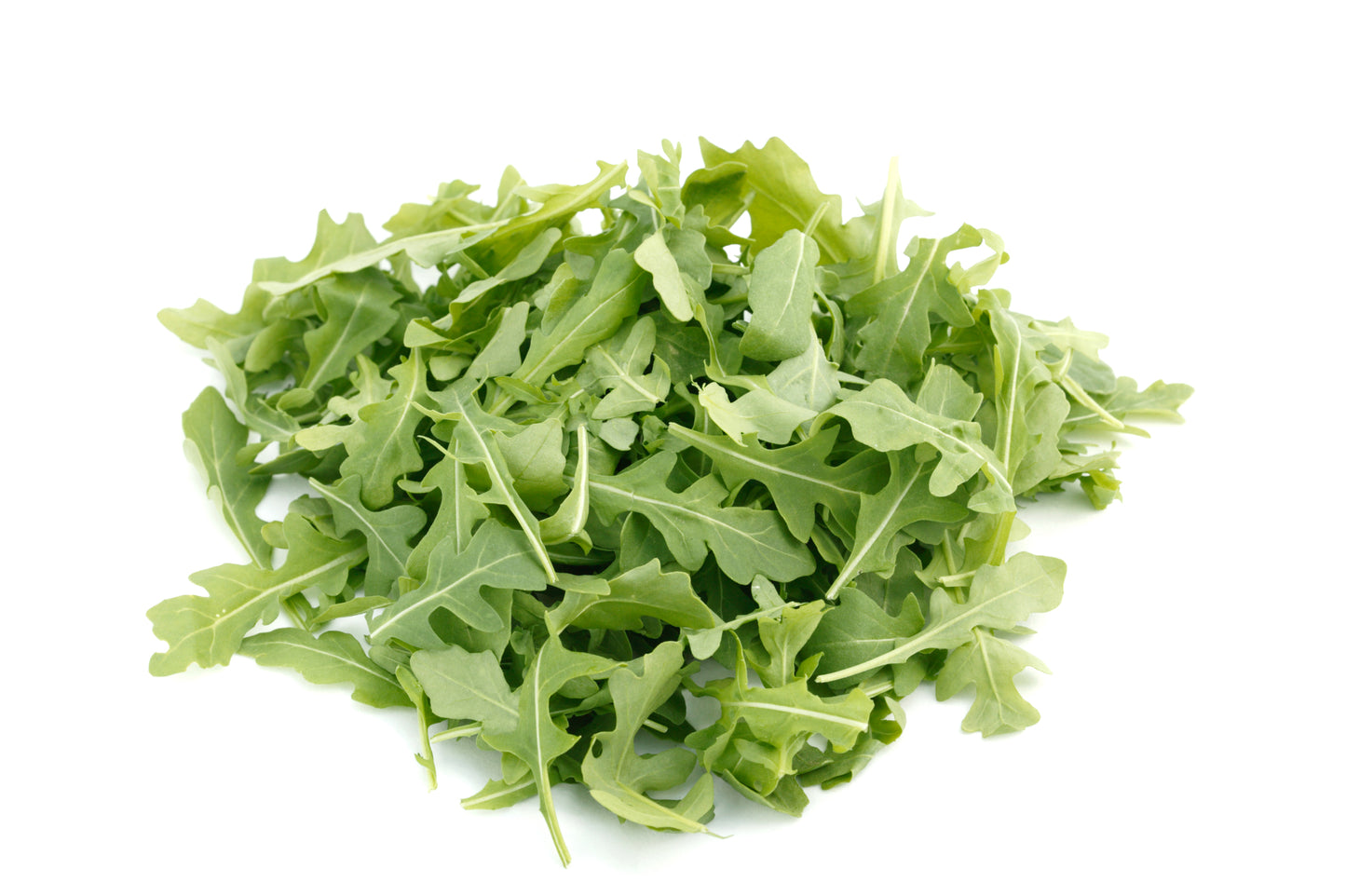 Organic Wild Rocket Seeds