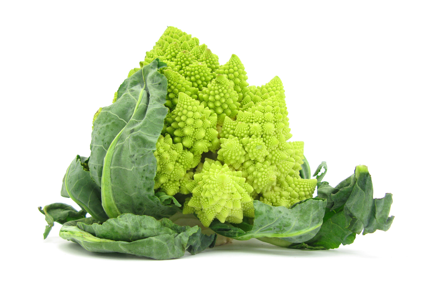 Cauliflower (Romanesco) Veronica F1 Seeds