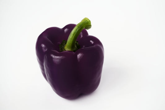 Kings Seeds Sweet Pepper Mavras 10 Seeds