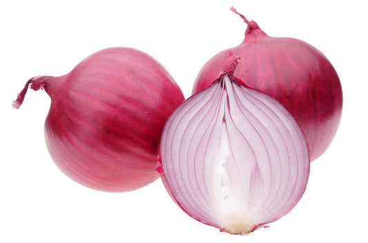 Autumn Onion Sets Red Winter