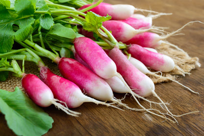 Radish French Breakfast 3 - Seeds