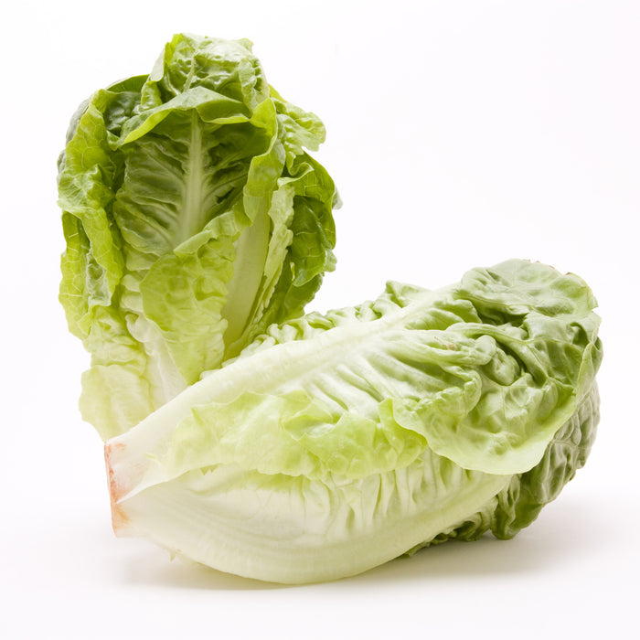 Lettuce Little Gem Seeds