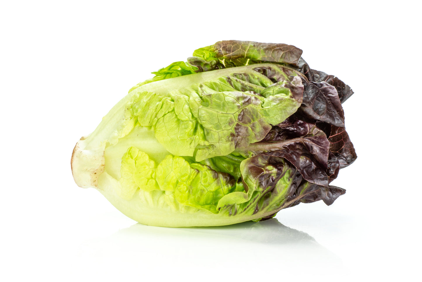 Lettuce Red Gem Seeds