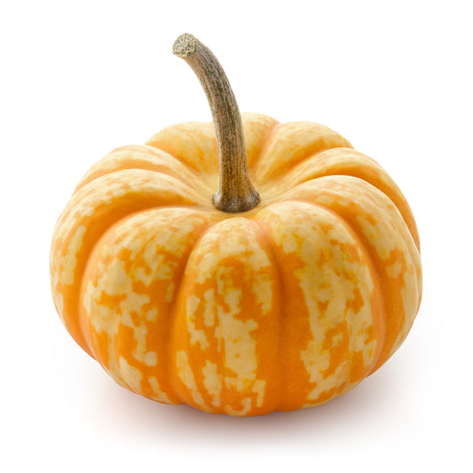 Pumpkin Spark F1 Seeds – Mini Striped Ornamental Pumpkin