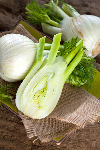 Fennel Sweet Florence Seeds – Bulb Fennel Variety