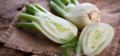 Fennel Sweet Florence Seeds – Bulb Fennel Variety
