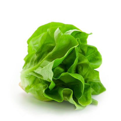 Lettuce Winter Arctic King Seeds