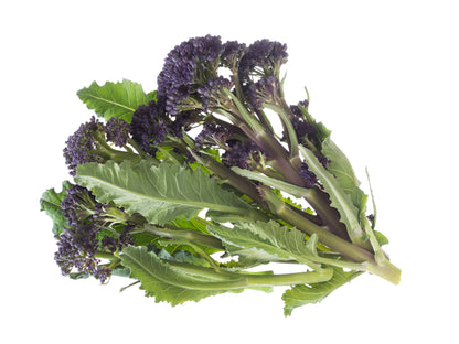 Broccoli Early Purple Sprouting Seeds