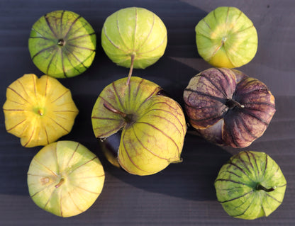 Tomatillo Verde Seeds