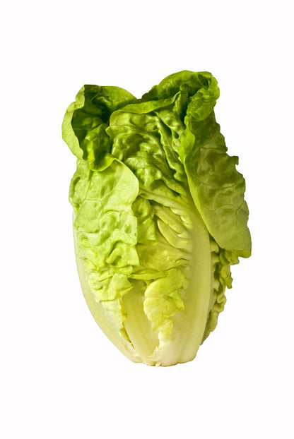 Lettuce Little Gem Seeds