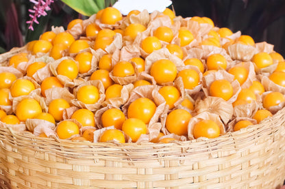 Cape Gooseberry Seeds - Physalis Edulis