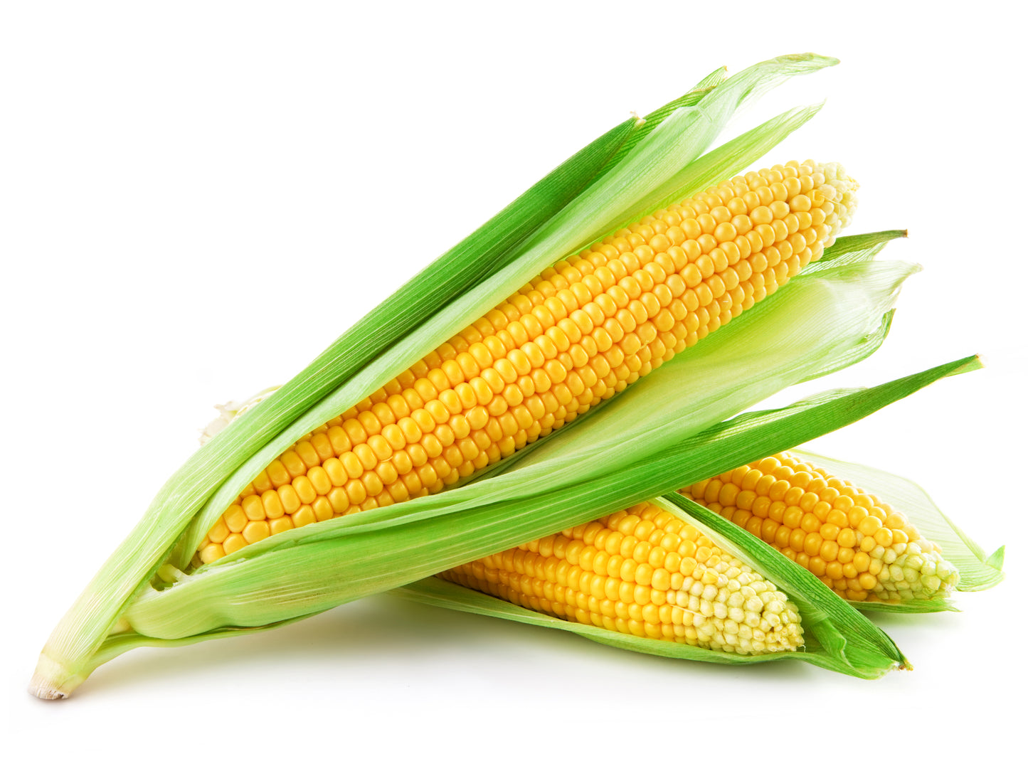 Sweetcorn Incredible F1 Hybrid Seeds