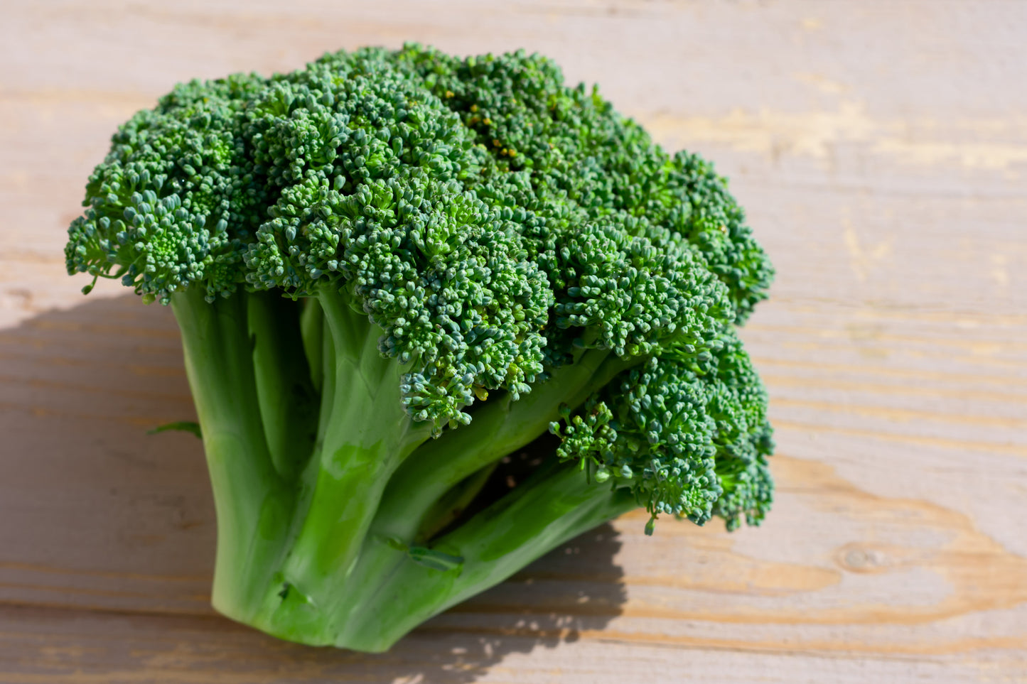 Broccoli Sun King Seeds