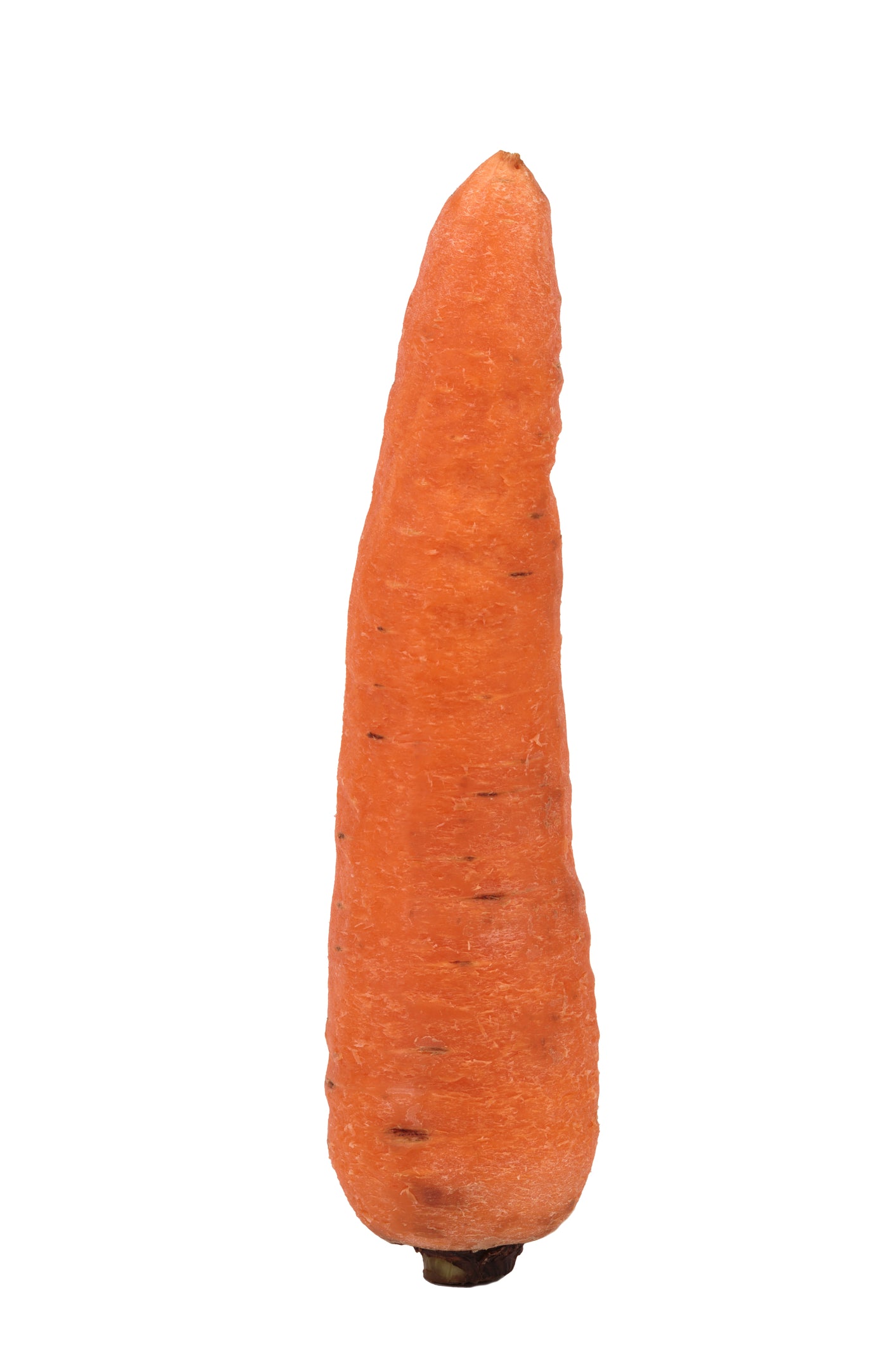 Carrot Sweet Candle F1 Seeds - Premium Show Variety