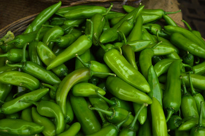 Robinsons Chilli Pepper Big Jim Seeds
