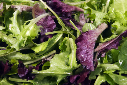 Lettuce Mixed Seeds - Baby Leaf Salad Leaves