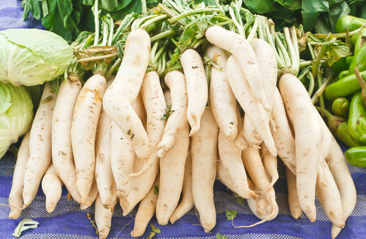 Suffolk Herbs Oriental Vegetables Radish White Icicle 1000 Seeds