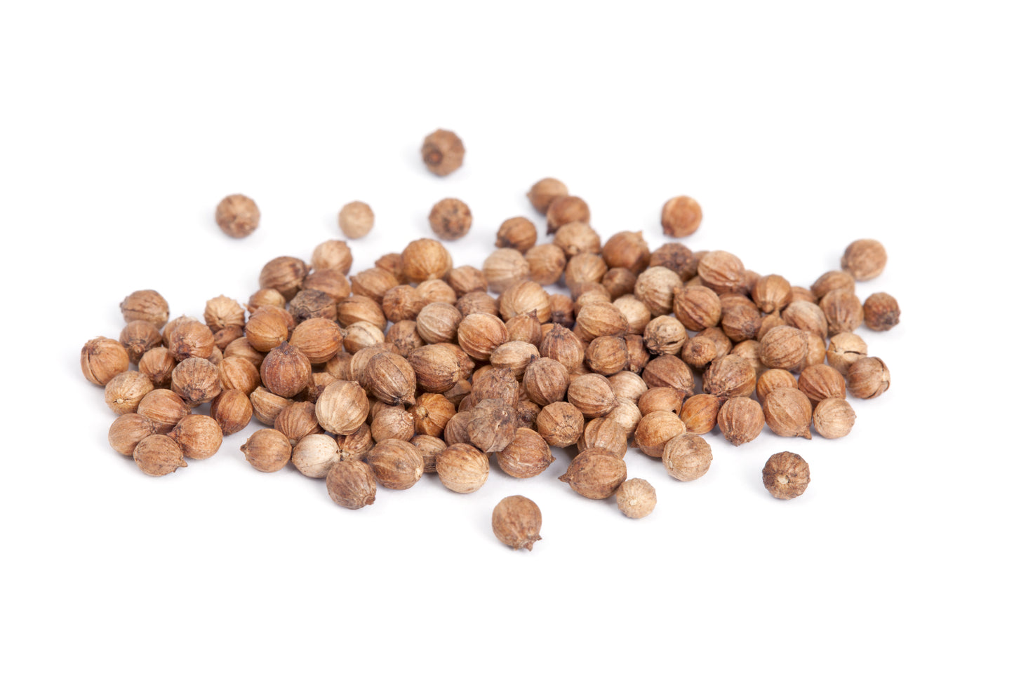 Organic Herb Coriander Cilantro Seeds