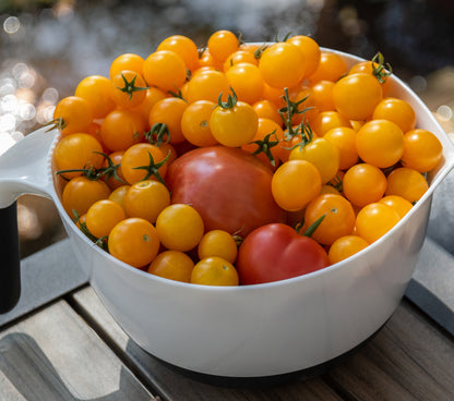 Tomato Tumbling Tom Yellow Seeds