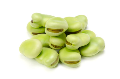 Broad Bean Aquadulce Claudia Seeds