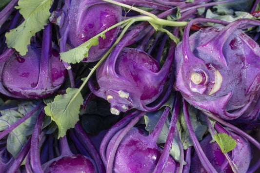 Kohl Rabi Delicacy Purple Seeds