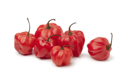 Kings Seeds Chilli Pepper Scotch Bonnet Red Seeds