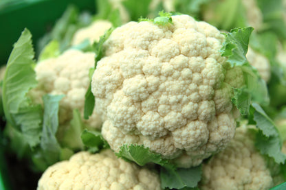 Cauliflower All Year Round Seeds – Successional Variety