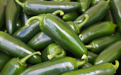 Pepper Jalapeno M Seeds