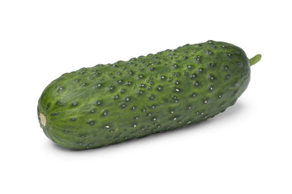 Cucumber Marketmore Seeds