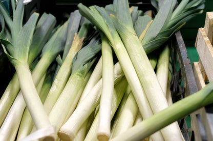 Leek Musselburgh Seeds
