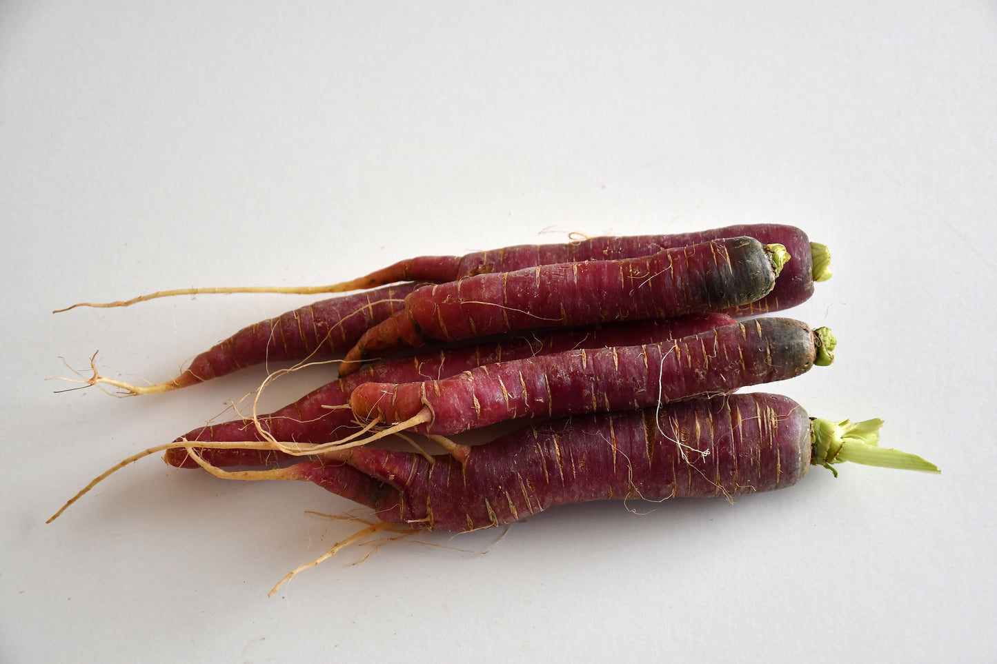 Carrot Purple Haze F1 Hybrid Seeds