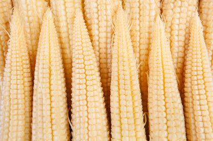 Sweetcorn Minipop F1 Seeds