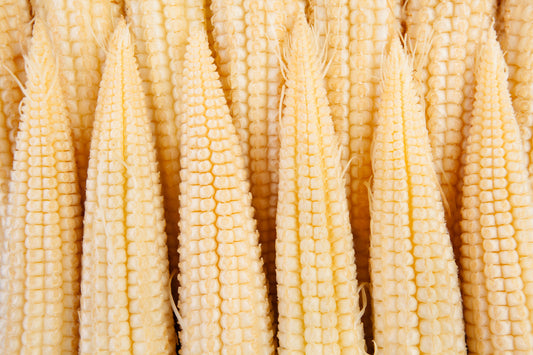 Sweetcorn Minipop F1 Seeds