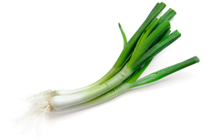 Spring Onion White Lisbon Winter Hardy Seeds