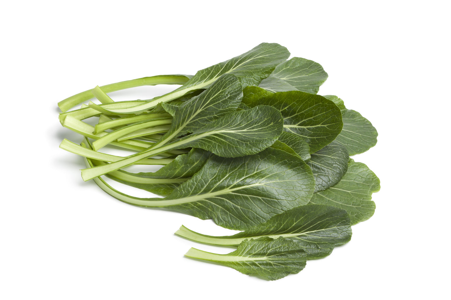 Komatsuna Japanese Green Boy Seeds