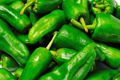 Chilli Pepper Padron Seeds