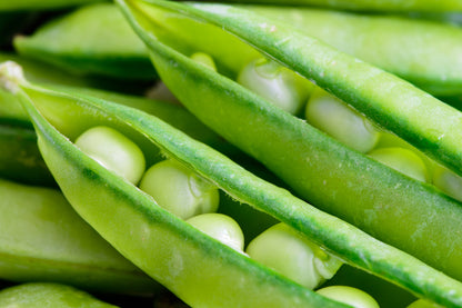 Pea Kelvedon Wonder Seeds