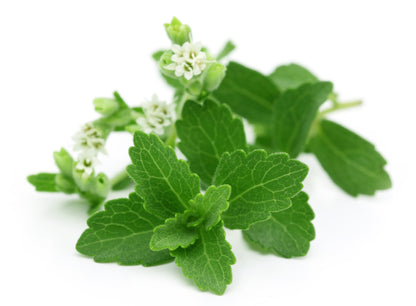 Stevia revaudiana - Sweet Herb Sugar Plant Seeds
