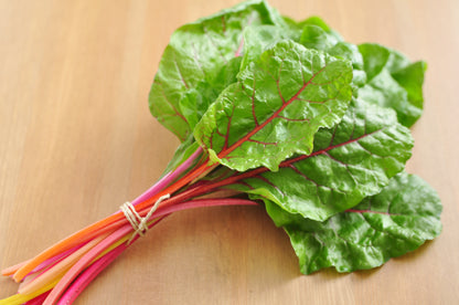 Beet Leaf Chard Bright Lights Seeds
