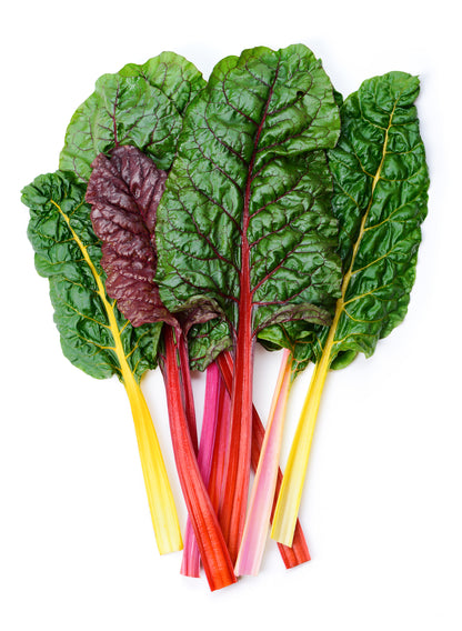 Beet Leaf Chard Bright Lights Seeds