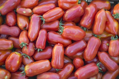 Tomato San Marzano Seeds