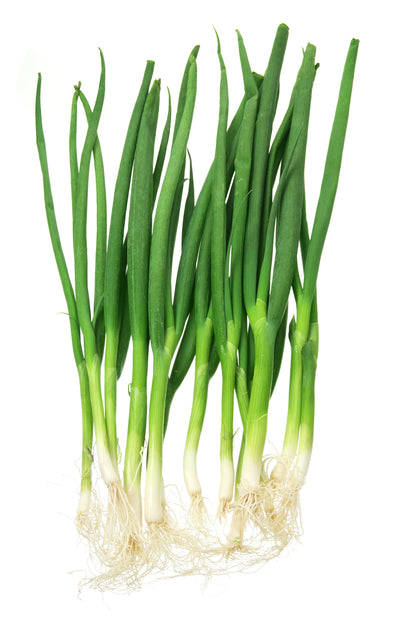 Spring Onion White Lisbon Winter Hardy Seeds