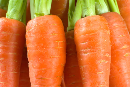 Carrot Flyaway F1 Hybrid Seeds
