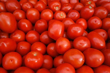 Tomato Roma Seeds – Classic Plum Tomato Variety