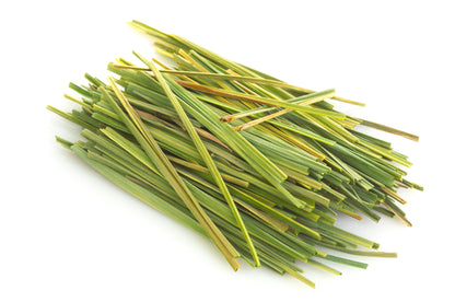 Lemon Grass Seeds - Cymbopogon flexuosus