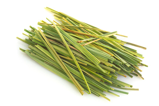 Lemon Grass Seeds - Cymbopogon flexuosus