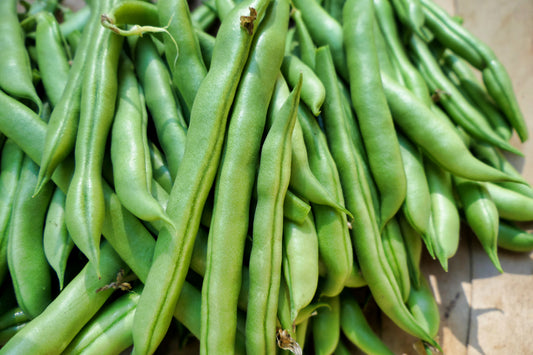 Climbing French Bean Blue Lake Seeds
